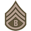Business Sergeant